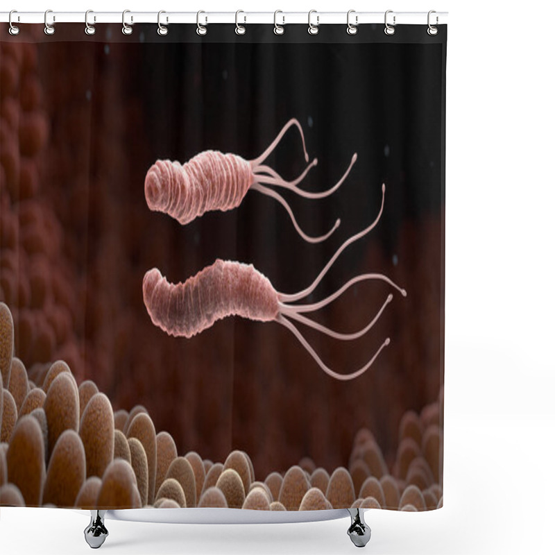 Personality  Helicobacter Pylori Is A Gram-negative, Microaerophilic Bacterium Found In The Stomach. 3D Illustration Shower Curtains