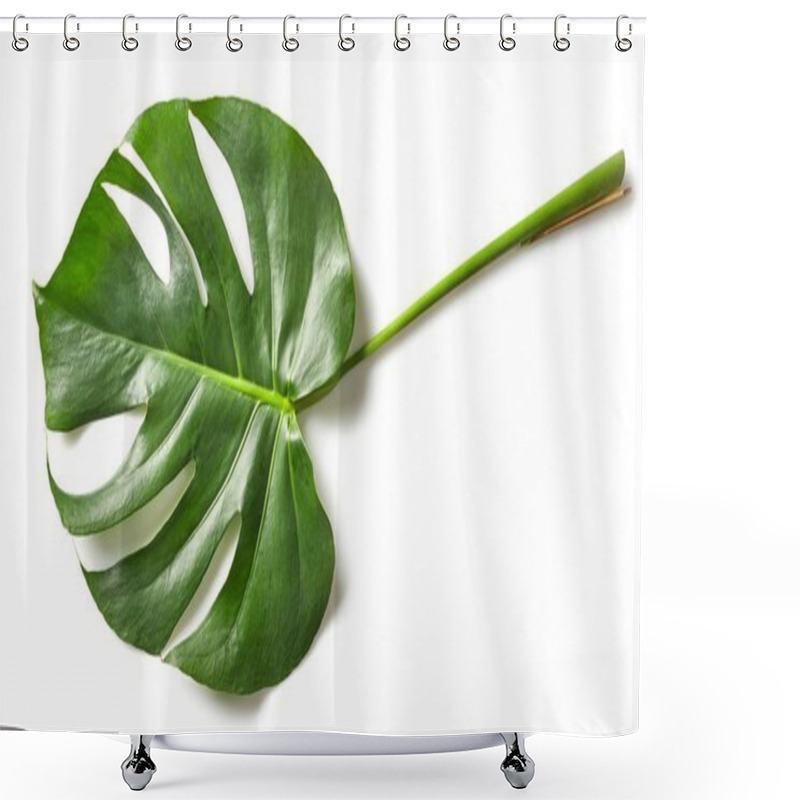 Personality  Leaf Of Monstera Plant Shower Curtains