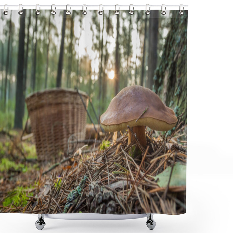 Personality  Closeup Mushroom And Basket In Forest Shower Curtains