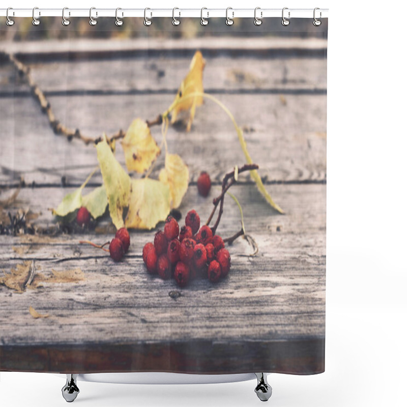 Personality  Bunch Of Red Ash Berry On Rustic Bench Shower Curtains