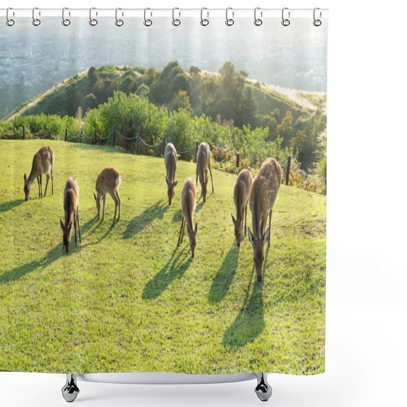 Personality  Deers Eating Grass On Mountain Shower Curtains