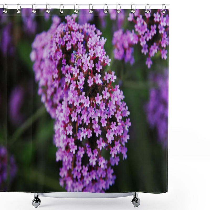 Personality  Purple Verbena With Blue Bud Shower Curtains