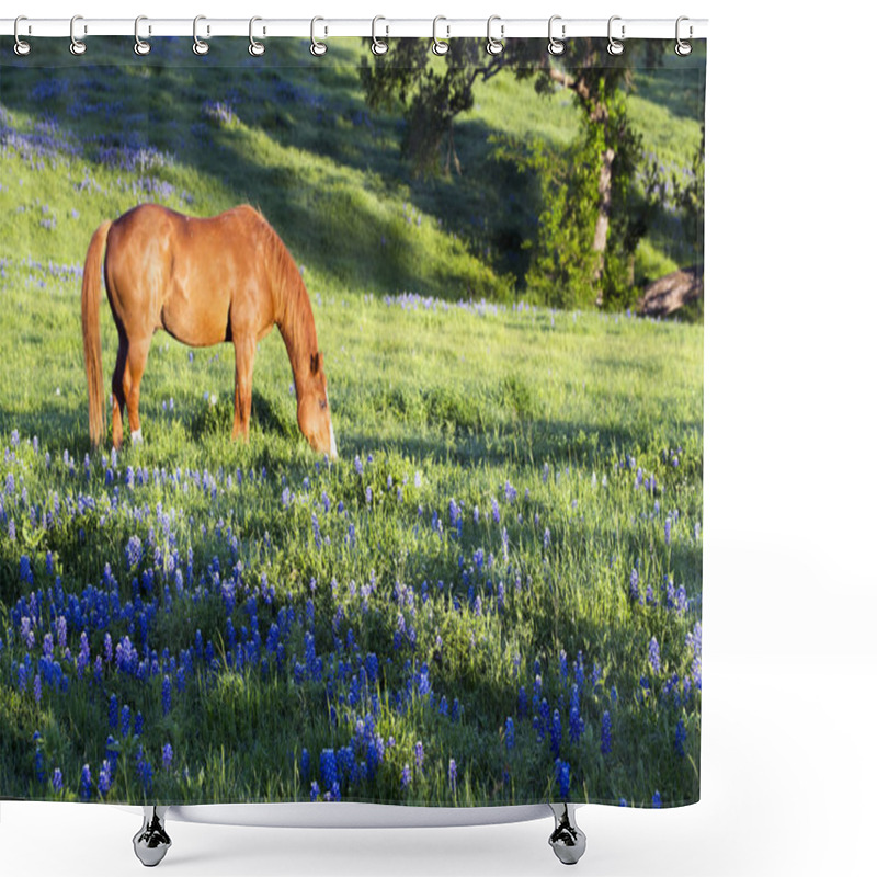 Personality  Horse With Spring Bluebonnets Shower Curtains