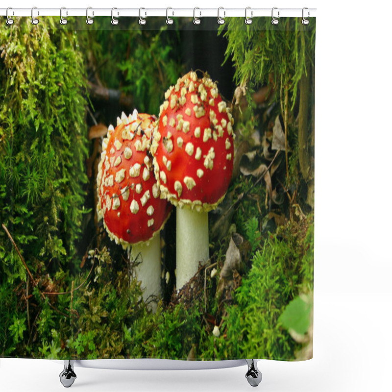 Personality  Fly Agaric - Horizontal Shower Curtains