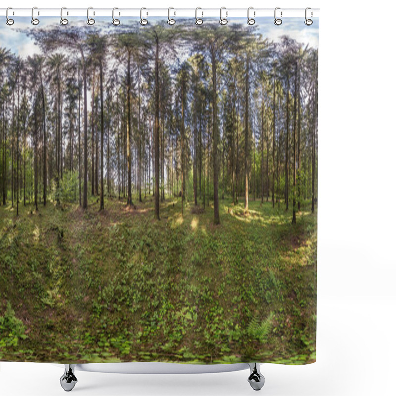 Personality  Full Spherical Hdri Panorama 360 Degrees Angle View In Pinery Forest In Equirectangular Projection. VR AR Content Shower Curtains