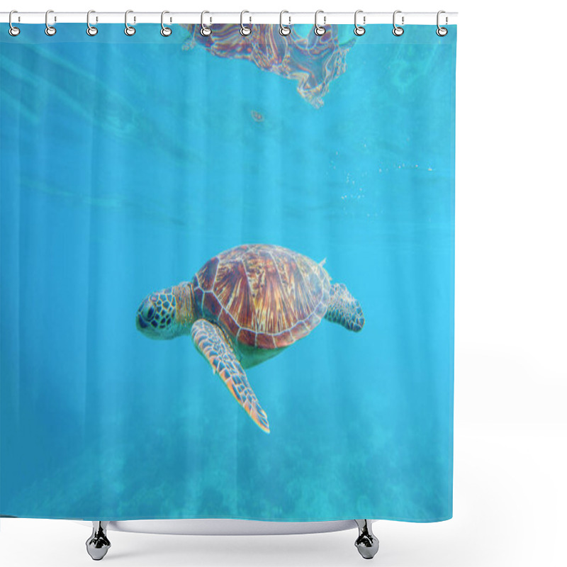 Personality  Sea Turtle In Water. Exotic Island Seashore Environment In Tropical Lagoon. Shower Curtains