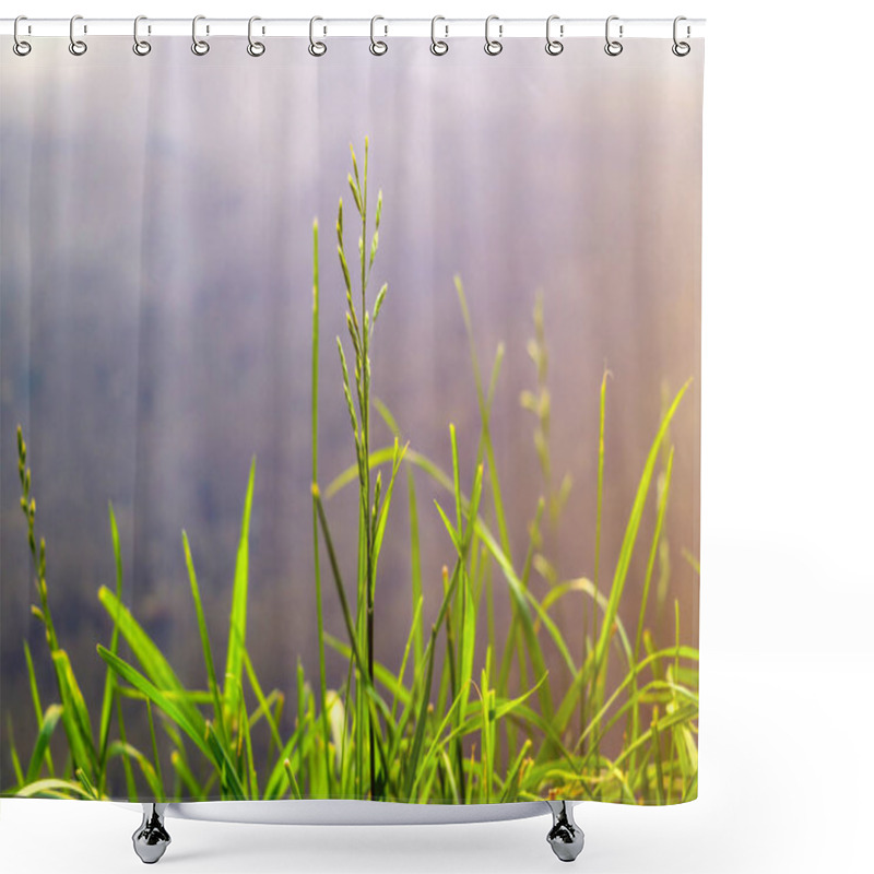 Personality  Beautiful Nature Background, Sunset. Summer Grass. Wild Nature. God. Sun Rays. Magical Background. Shower Curtains