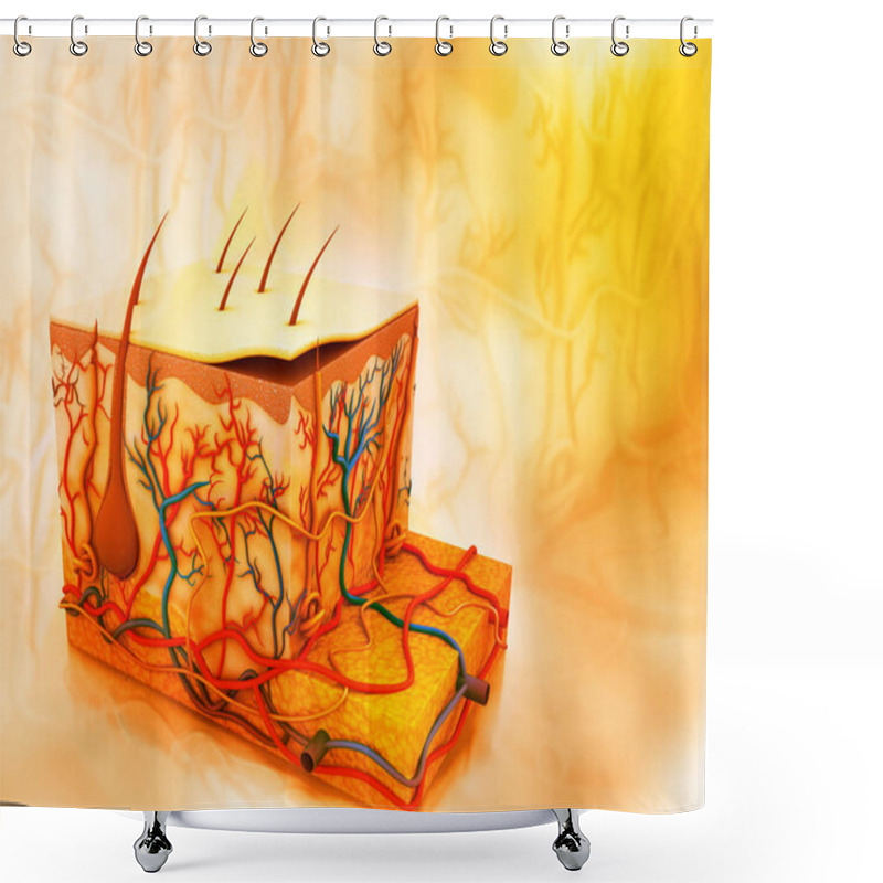 Personality  Anatomy Of The Skin And The Layers. 3d Render Shower Curtains