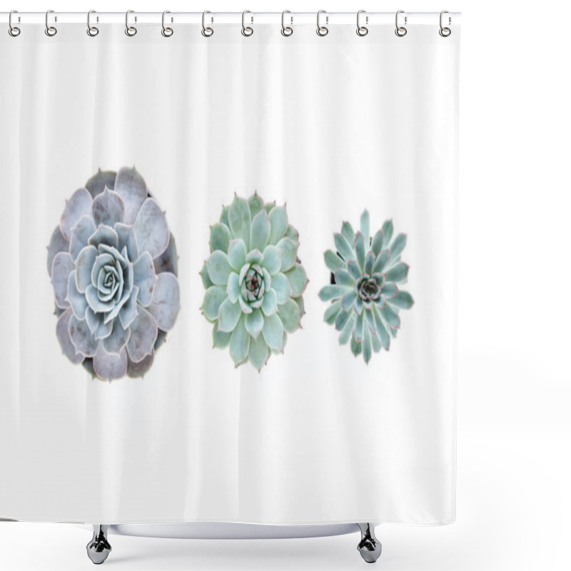 Personality  Green House Plants Potted, Succulent Plants Isolated On White Background. Flat Lay, Top View. Shower Curtains