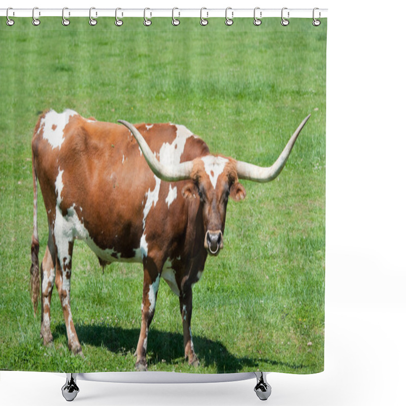 Personality  A Longhorn Bull Shower Curtains