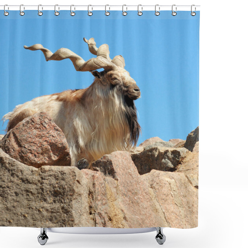 Personality  Markhor Shower Curtains