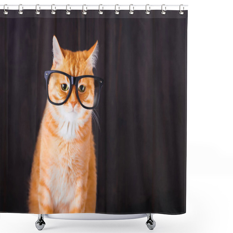 Personality  Domestic Tabby Cat With Eyeglasses. Shower Curtains