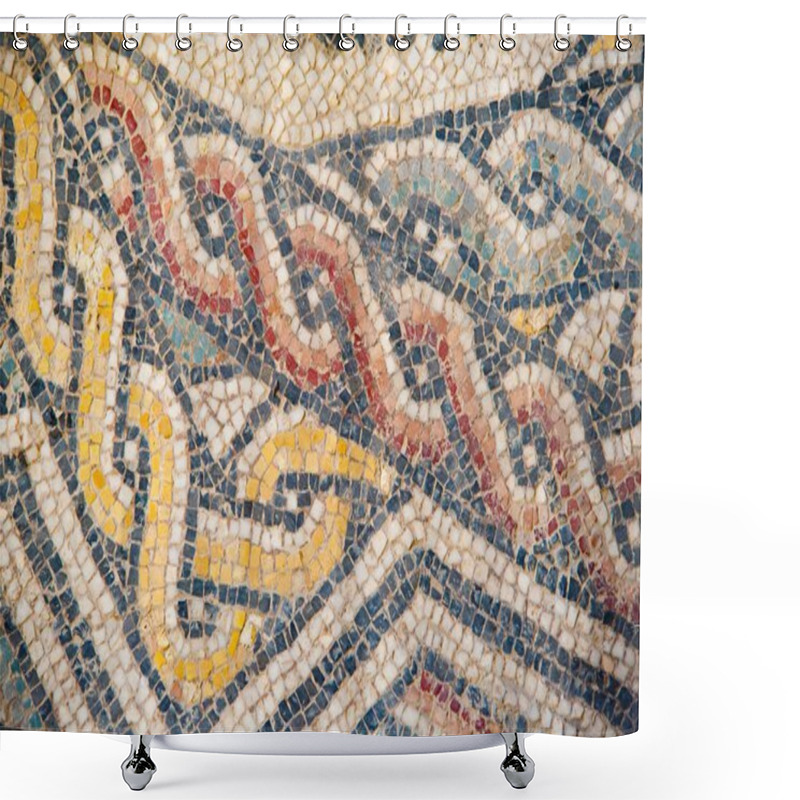 Personality  Old Roman Mosaics Shower Curtains