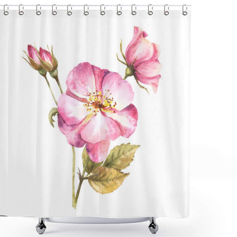 Personality  Watercolor Pink Wild Rose Hip Branch With Buds And Flowers, Dog Or Brier Rose Im Bloom. Botanical Clipart For Card, Logo, Medical Label Print. Hand Drawn Floral Illustration Isolated White Background. Shower Curtains