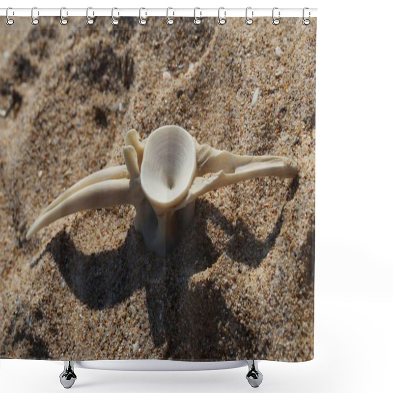 Personality  Some Bonito Dorsal Vertebra Shower Curtains