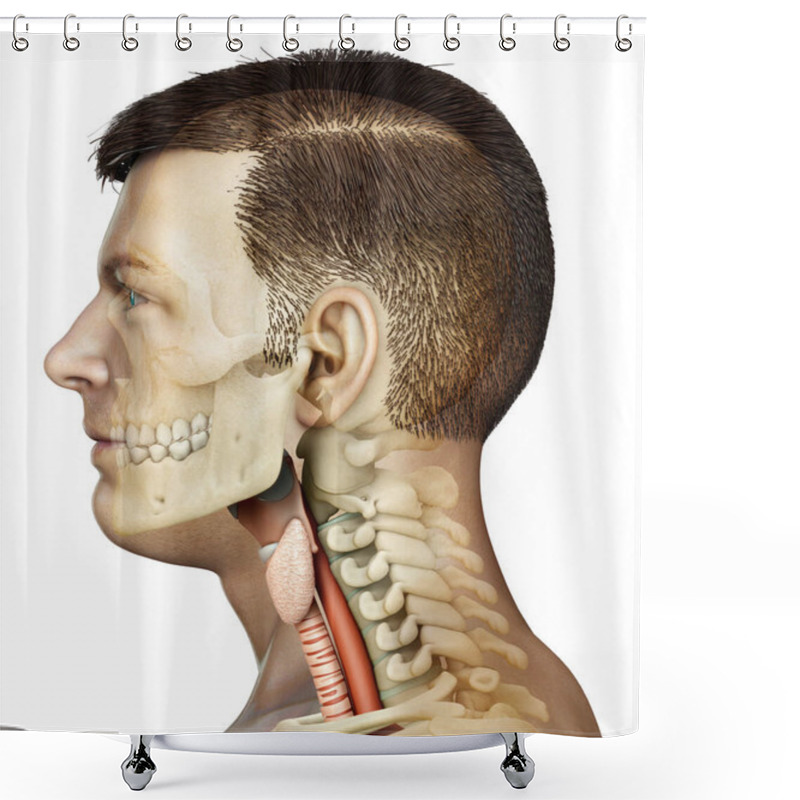 Personality  3d Rendered Medically Accurate Illustration Of The Female Larynx Anatomy  Shower Curtains