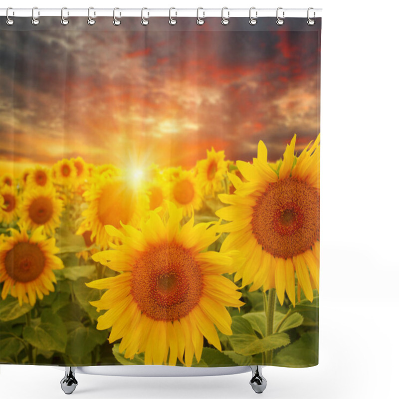 Personality  Field Of Sunflowers And Sun  Shower Curtains