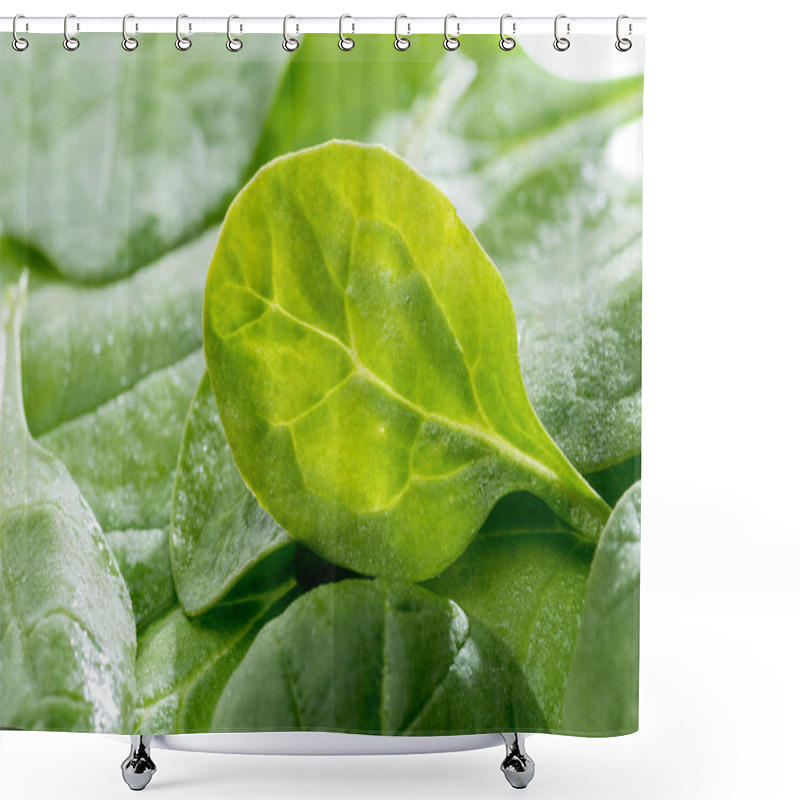 Personality  Fresh Green Spinach Leaves Shower Curtains