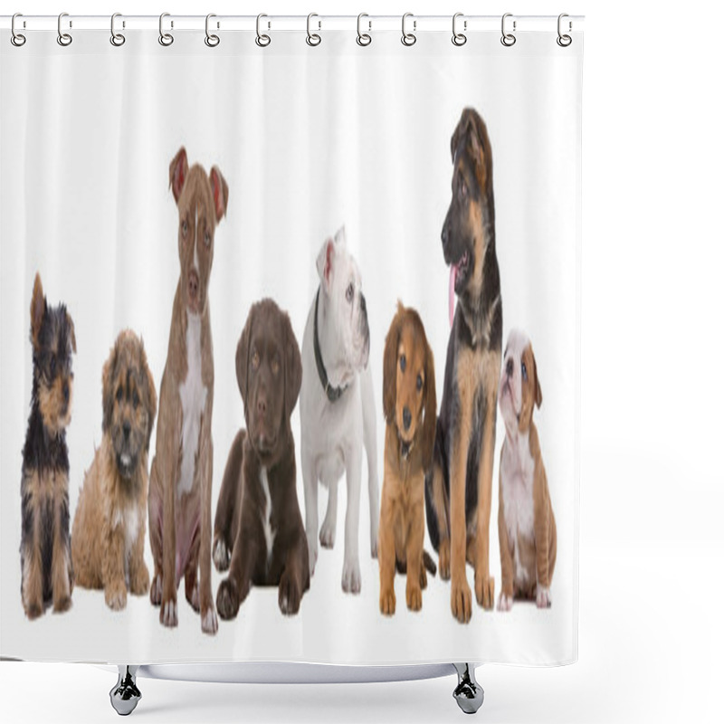 Personality  Large Group Of Puppies Shower Curtains