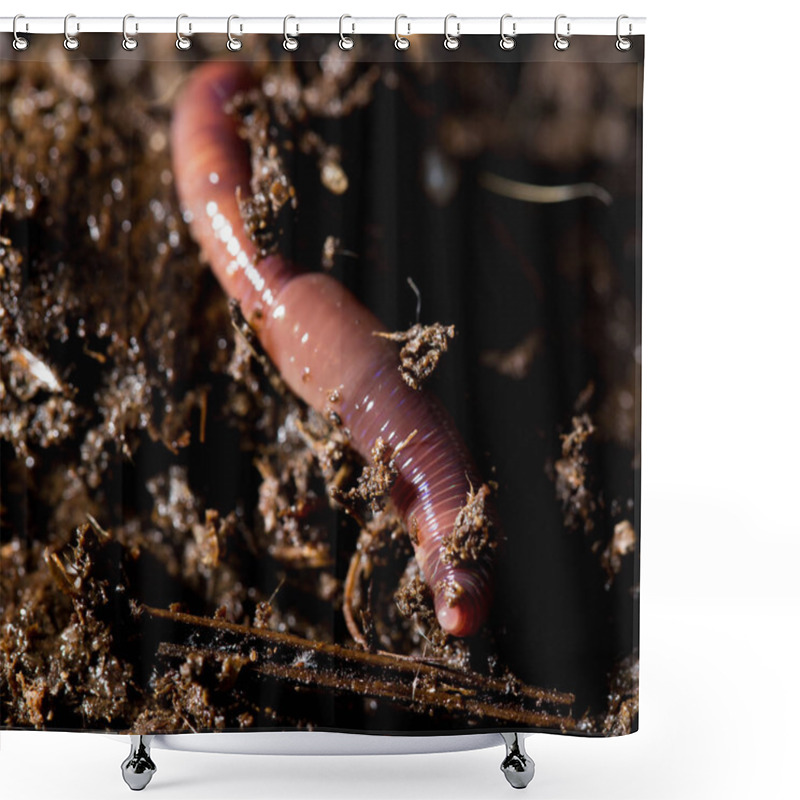 Personality  Red Worms In Compost. Macro Shower Curtains