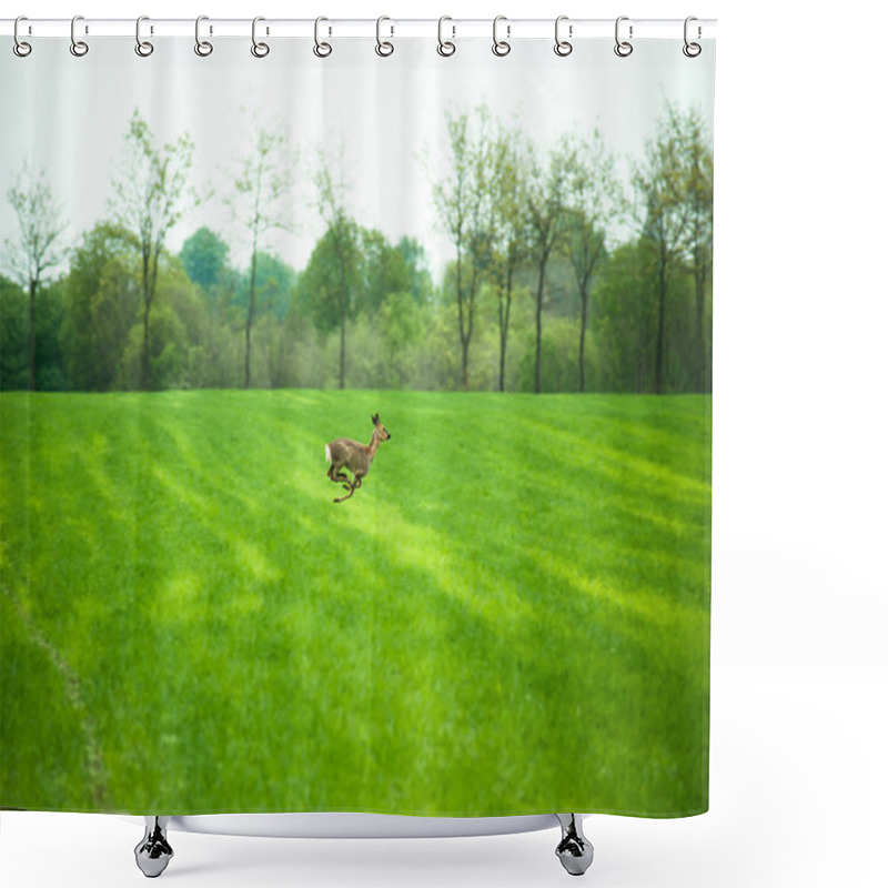 Personality  Running Deer Shower Curtains