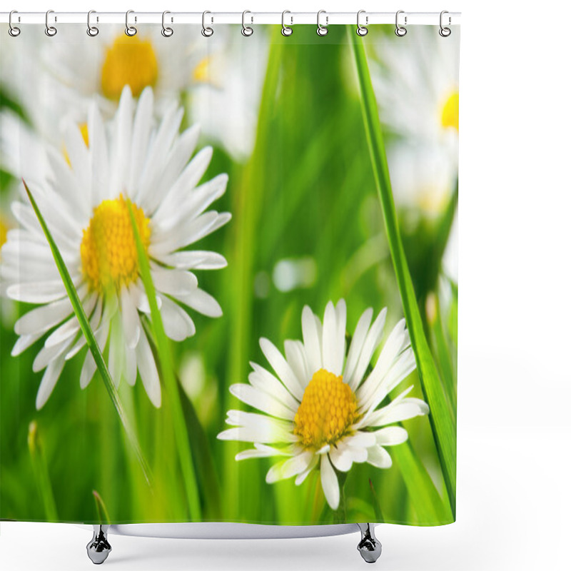 Personality  Daisies Shower Curtains