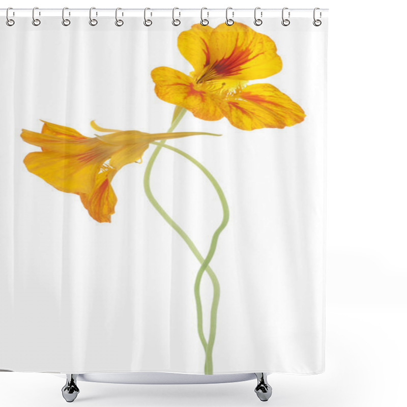 Personality  Nasturtium Shower Curtains