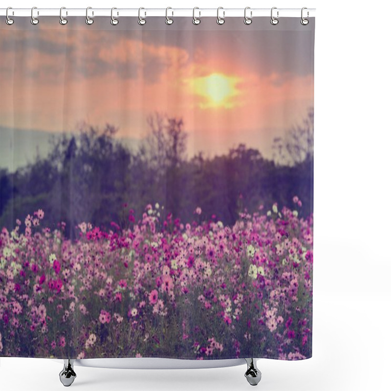 Personality  Cosmos Flowers In Purple, White, Pink And Red, Is Beautiful Suns Shower Curtains