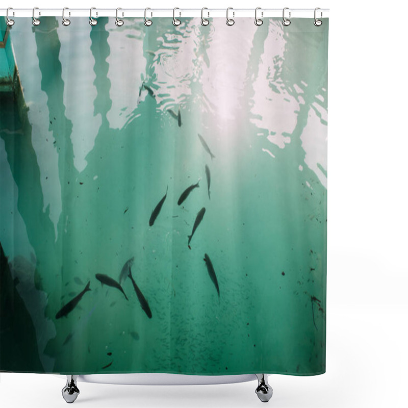 Personality  Top View Of Fish Swimming In Blue Mediterranean Sea  Shower Curtains