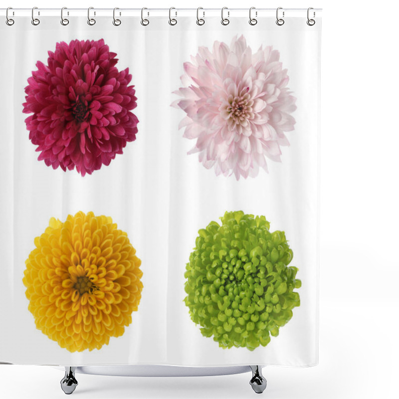 Personality  Set With Beautiful Chrysanthemum Flowers On White Background  Shower Curtains