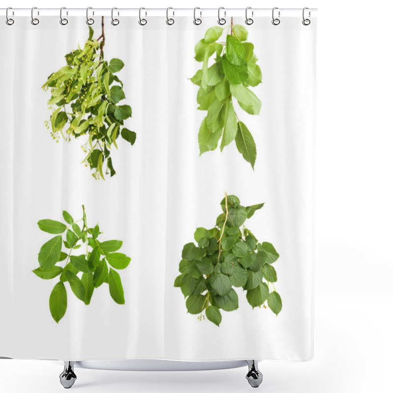 Personality  Branch With Green Leaves Isolated On White Background  Shower Curtains