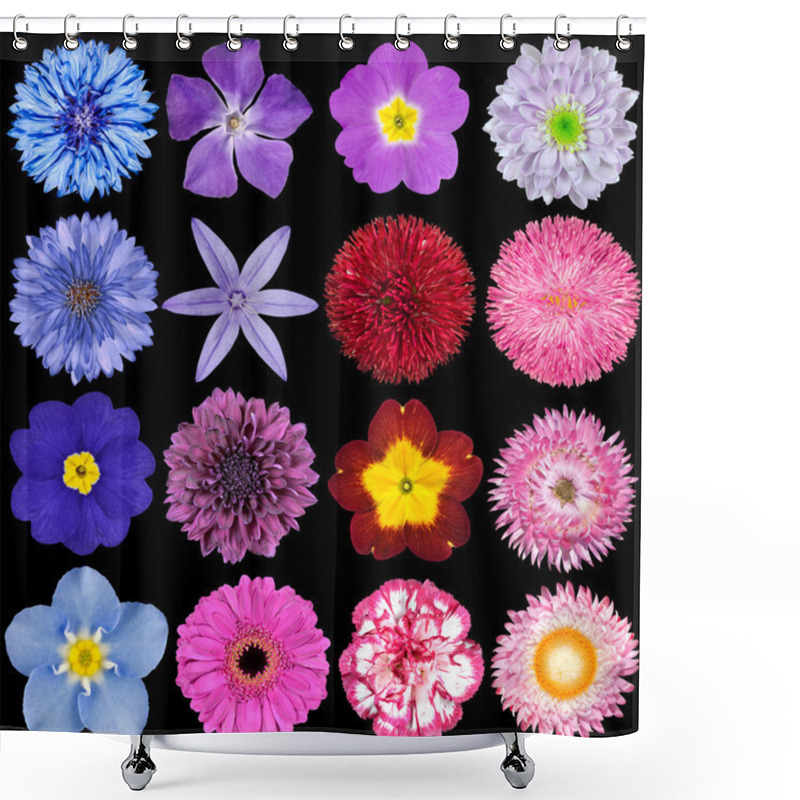 Personality  Various Red, Pink, Blue And Purple Flowers Isolated On Black Shower Curtains