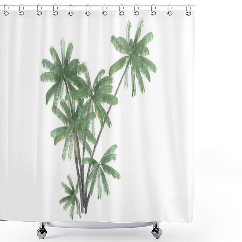 Personality  Nibung Palm Or Oncosperma Tigillarium Shower Curtains