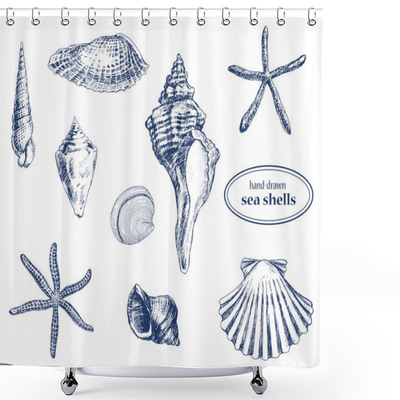 Personality  Sea Shells Shower Curtains