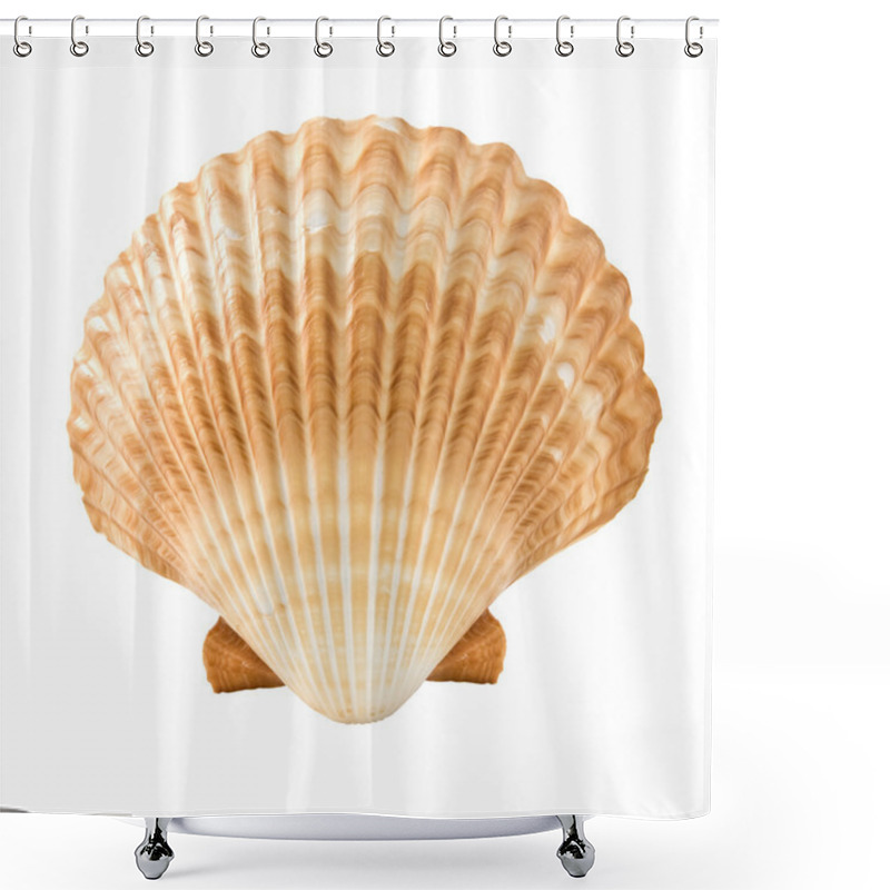 Personality  Seashell Shower Curtains