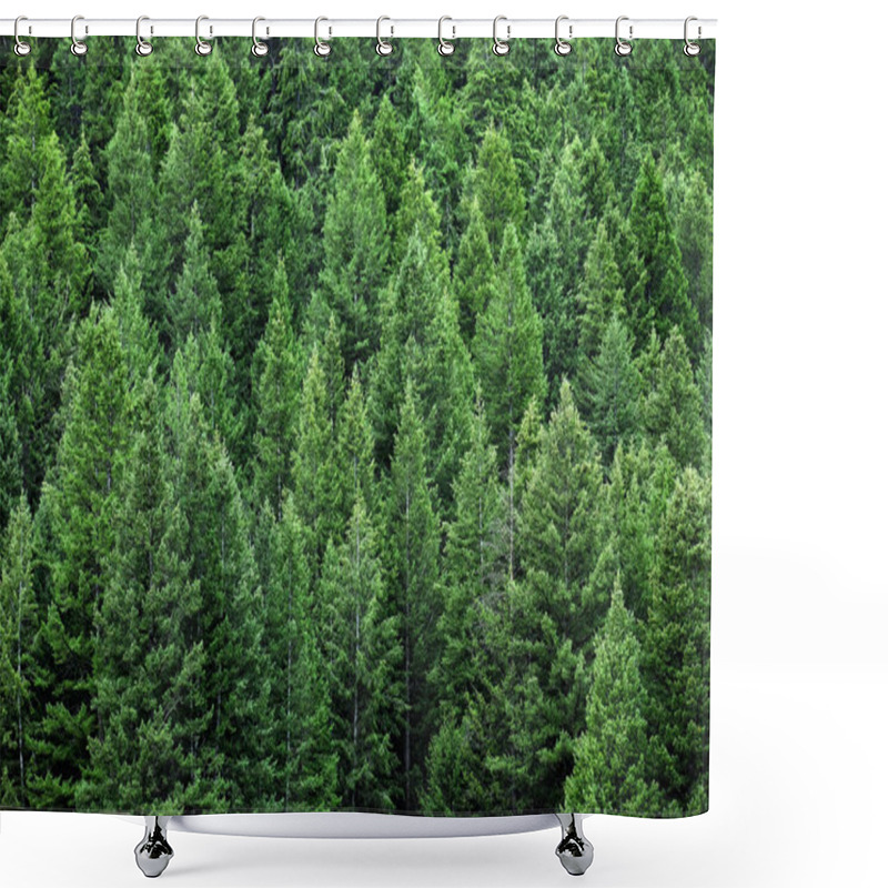 Personality  Detail Of Lush Green Pine Forest Forrest Showing Growth And Environment Preservation Conservation Shower Curtains