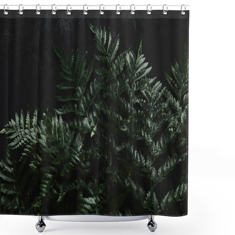 Personality  Top View Of Beautiful Green Wet Fern On Black  Shower Curtains