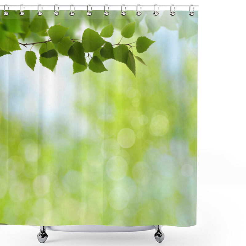 Personality  Beech Tree Leaves Border Shower Curtains