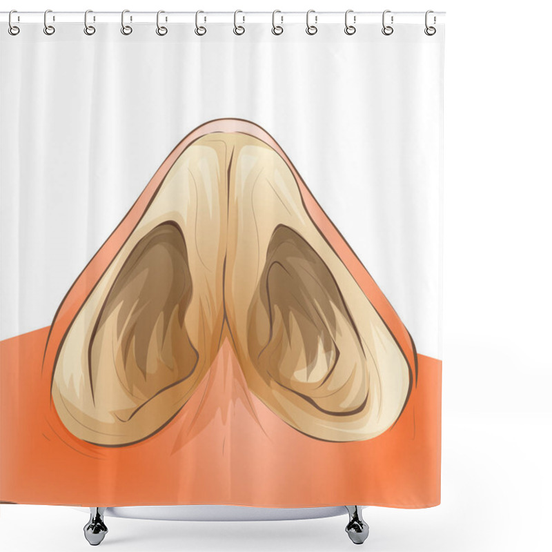 Personality  Nose Septum Anatomy Illustration. Cartoon Medical Vector Style. Shower Curtains