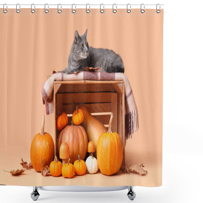 Personality  Cute Cat On Wooden Box With Pumpkins, Mushrooms And Leaves Against Beige Background. Thanksgiving Day Celebration Shower Curtains