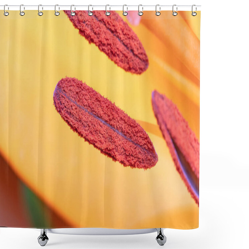 Personality  Closeup Of A Orange Lily, Selective Focus Shower Curtains