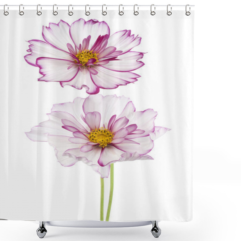 Personality  Cosmos Flower Shower Curtains