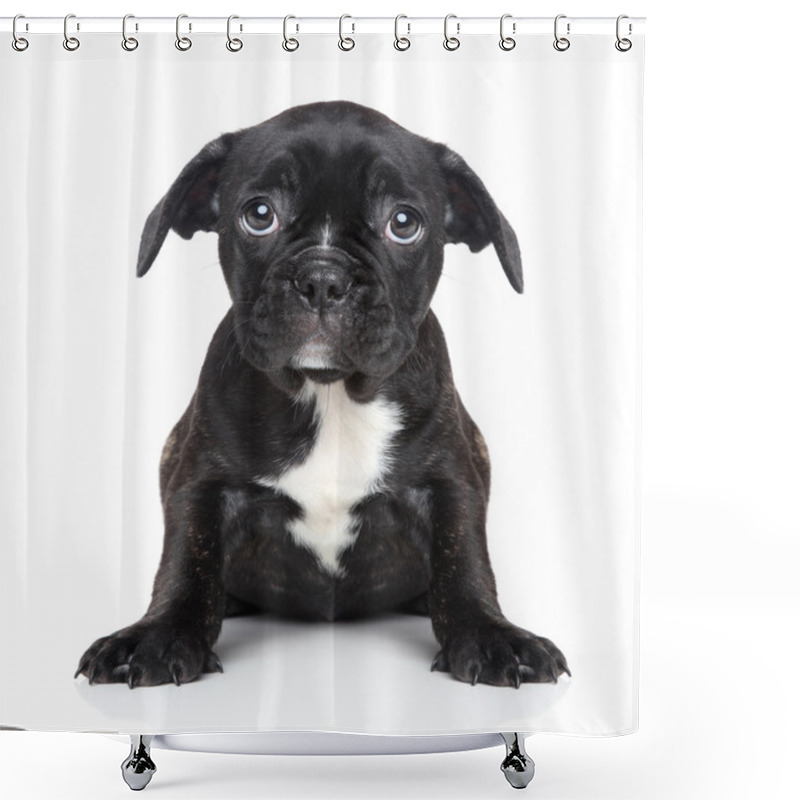 Personality  Sad Puppy Of French Bulldog Shower Curtains