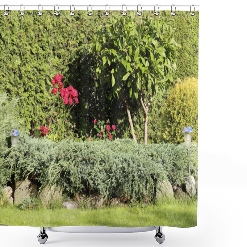 Personality  Geranium Bushes With Its' Beautiful Flowers Shower Curtains