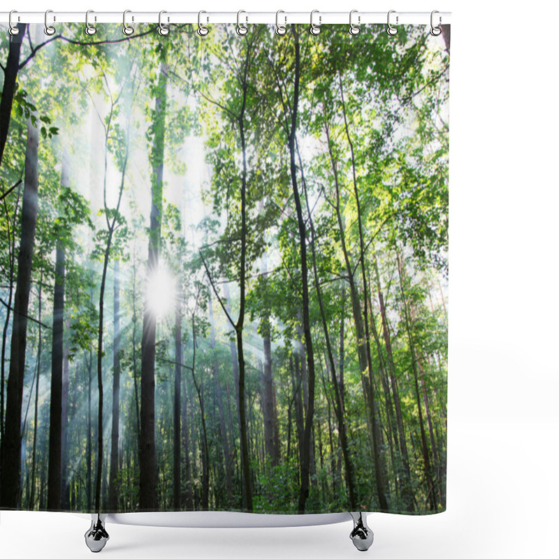 Personality  Sunny Forest. Shower Curtains