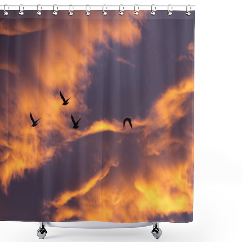 Personality  Morning Glow And Bird Shower Curtains