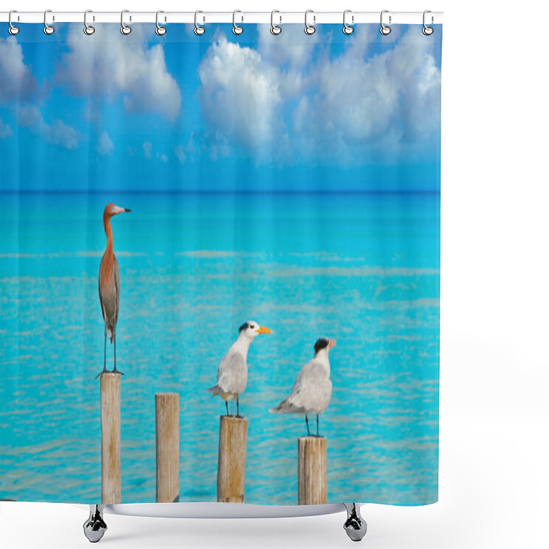 Personality  Royal Caspian Terns And Reddish Egret Heron Shower Curtains