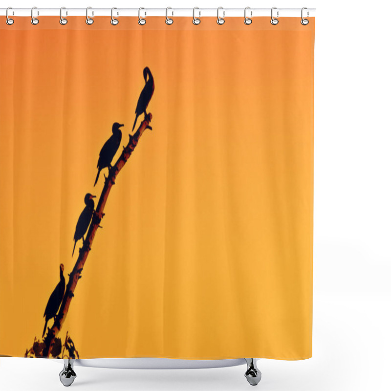 Personality  Herons On The Tree Shower Curtains