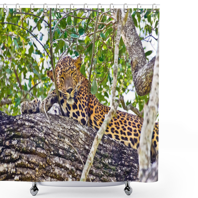 Personality  Sri Lankan Endemic Leopard Shower Curtains