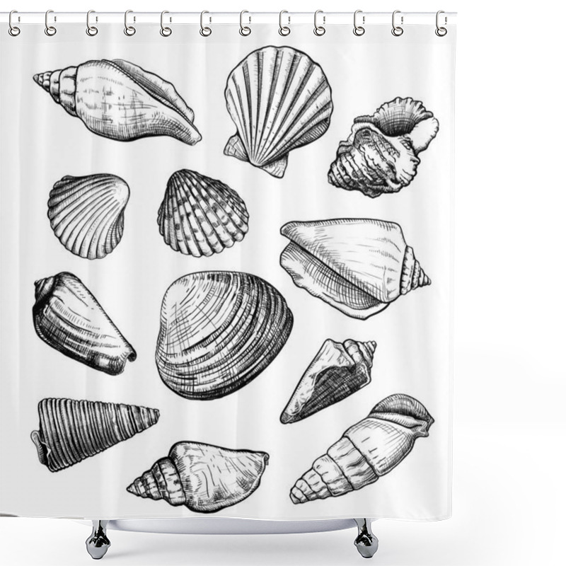 Personality  Seashells Sketch Set Shower Curtains